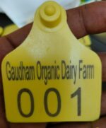 Dairy Name Printed Ear Tags - Image 3