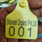 Dairy Name Printed Ear Tags