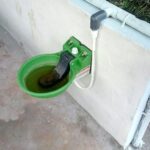 Water Bowl