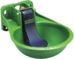 Water Bowl - Image 3
