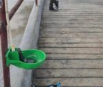 Water Bowl - Image 4